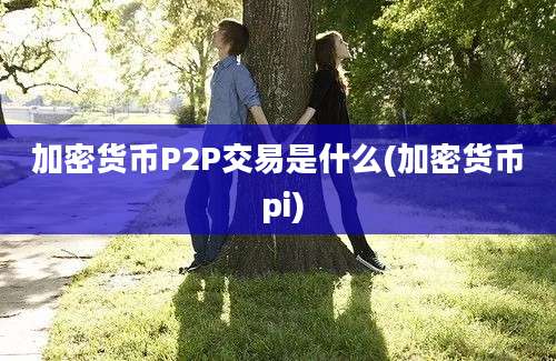 加密货币P2P交易是什么(加密货币 pi)