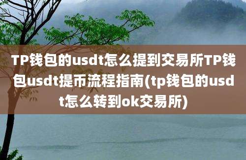 TP钱包的usdt怎么提到交易所TP钱包usdt提币流程指南(tp钱包的usdt怎么转到ok交易所)