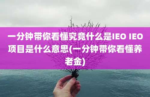 一分钟带你看懂究竟什么是IEO IEO项目是什么意思(一分钟带你看懂养老金)