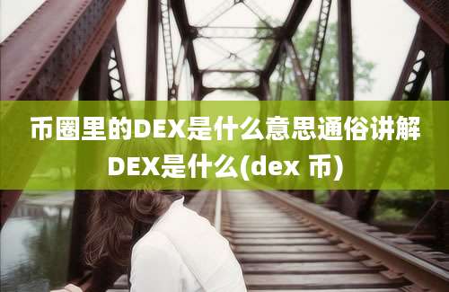 币圈里的DEX是什么意思通俗讲解DEX是什么(dex 币)