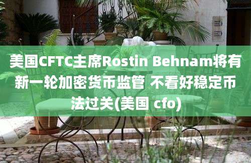 美国CFTC主席Rostin Behnam将有新一轮加密货币监管 不看好稳定币法过关(美国 cfo)