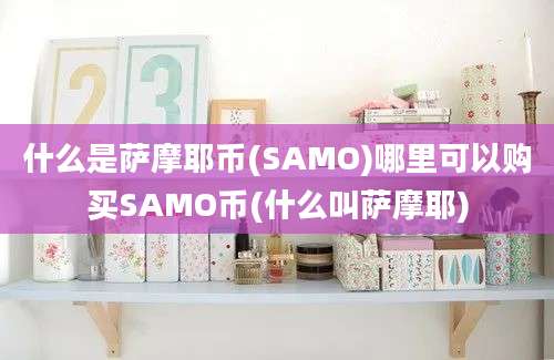 什么是萨摩耶币(SAMO)哪里可以购买SAMO币(什么叫萨摩耶)