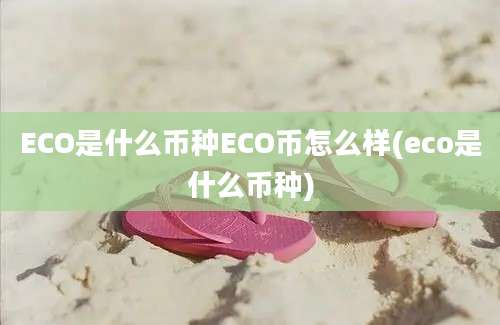 ECO是什么币种ECO币怎么样(eco是什么币种)