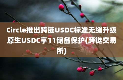 Circle推出跨链USDC标准无缝升级原生USDC享11储备保护(跨链交易所)