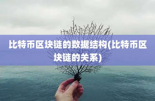 比特币区块链的数据结构(比特币区块链的关系)