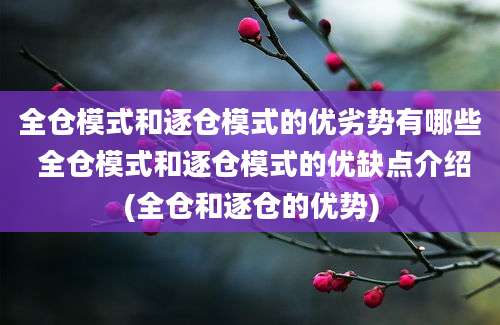 全仓模式和逐仓模式的优劣势有哪些 全仓模式和逐仓模式的优缺点介绍(全仓和逐仓的优势)