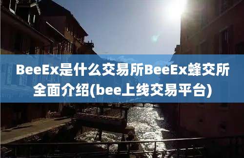 BeeEx是什么交易所BeeEx蜂交所全面介绍(bee上线交易平台)