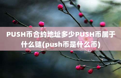 PUSH币合约地址多少PUSH币属于什么链(push币是什么币)