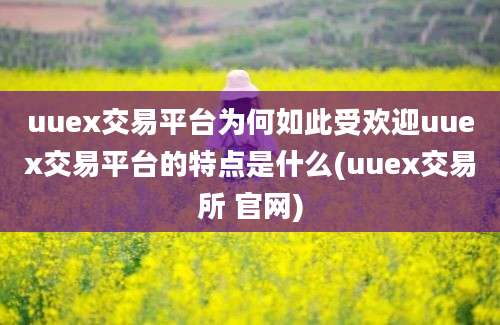 uuex交易平台为何如此受欢迎uuex交易平台的特点是什么(uuex交易所 官网)