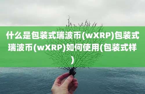 什么是包装式瑞波币(wXRP)包装式瑞波币(wXRP)如何使用(包装式样)