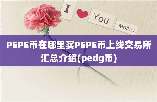 PEPE币在哪里买PEPE币上线交易所汇总介绍(pedg币)