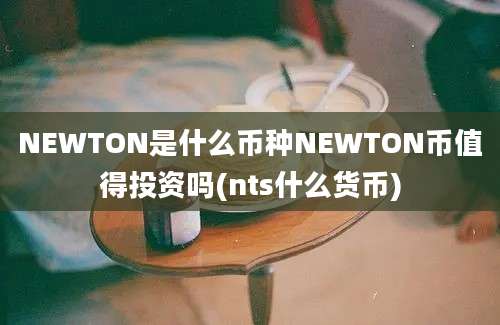 NEWTON是什么币种NEWTON币值得投资吗(nts什么货币)