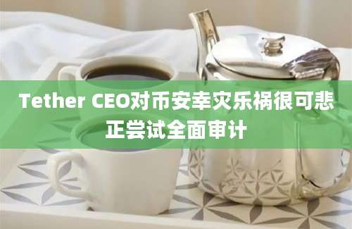 Tether CEO对币安幸灾乐祸很可悲正尝试全面审计