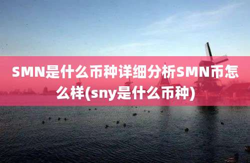 SMN是什么币种详细分析SMN币怎么样(sny是什么币种)