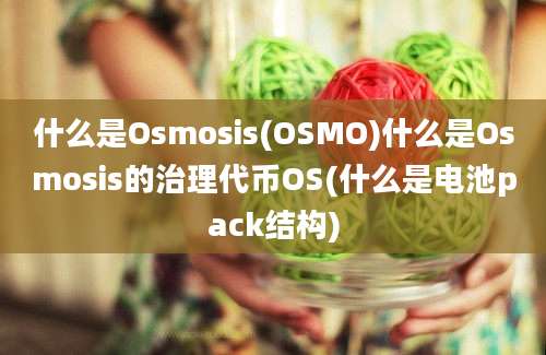 什么是Osmosis(OSMO)什么是Osmosis的治理代币OS(什么是电池pack结构)