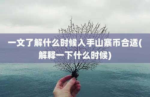 一文了解什么时候入手山寨币合适(解释一下什么时候)