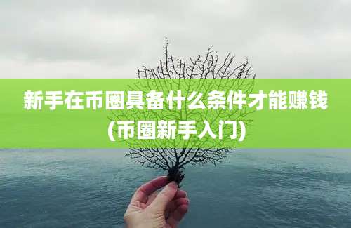 新手在币圈具备什么条件才能赚钱(币圈新手入门)