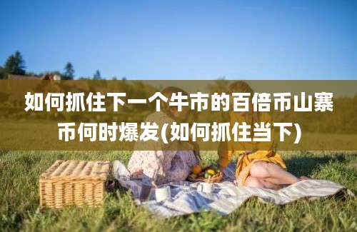 如何抓住下一个牛市的百倍币山寨币何时爆发(如何抓住当下)