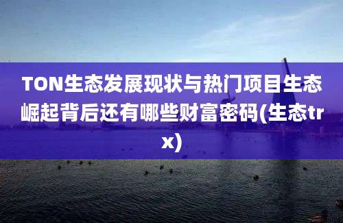 TON生态发展现状与热门项目生态崛起背后还有哪些财富密码(生态trx)