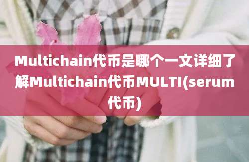 Multichain代币是哪个一文详细了解Multichain代币MULTI(serum代币)