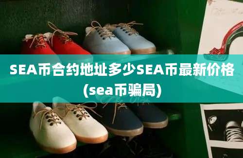 SEA币合约地址多少SEA币最新价格(sea币骗局)