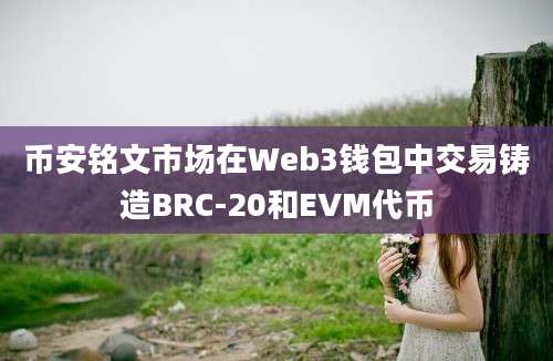 币安铭文市场在Web3钱包中交易铸造BRC-20和EVM代币