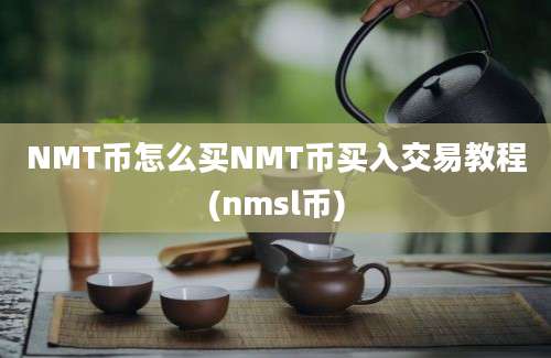 NMT币怎么买NMT币买入交易教程(nmsl币)