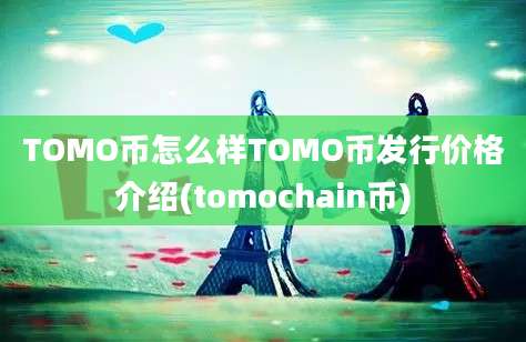 TOMO币怎么样TOMO币发行价格介绍(tomochain币)