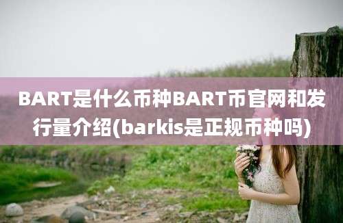 BART是什么币种BART币官网和发行量介绍(barkis是正规币种吗)