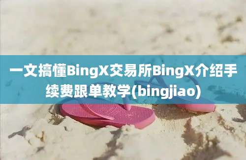 一文搞懂BingX交易所BingX介绍手续费跟单教学(bingjiao)