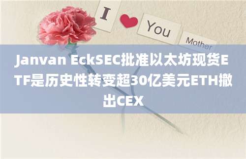 Janvan EckSEC批准以太坊现货ETF是历史性转变超30亿美元ETH撤出CEX