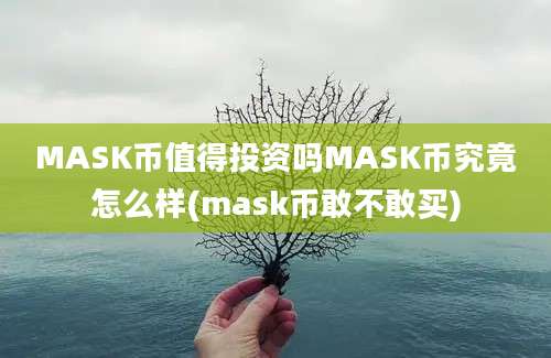 MASK币值得投资吗MASK币究竟怎么样(mask币敢不敢买)