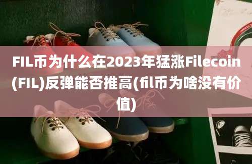 FIL币为什么在2023年猛涨Filecoin(FIL)反弹能否推高(fil币为啥没有价值)