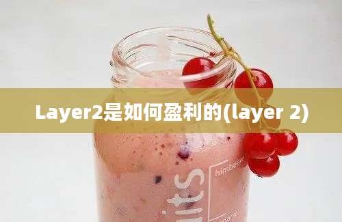 Layer2是如何盈利的(layer 2)