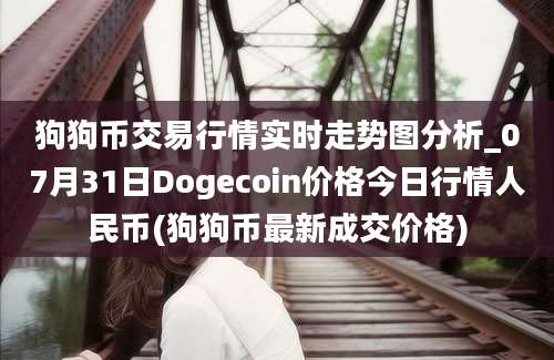 狗狗币交易行情实时走势图分析_07月31日Dogecoin价格今日行情人民币(狗狗币最新成交价格)