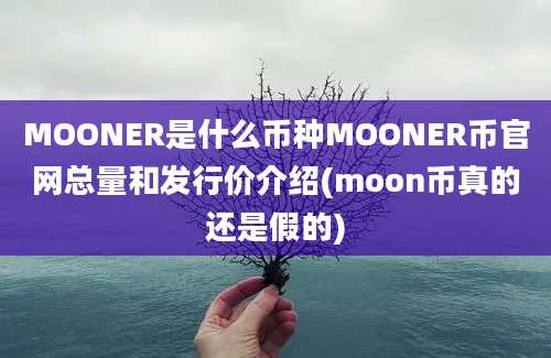 MOONER是什么币种MOONER币官网总量和发行价介绍(moon币真的还是假的)