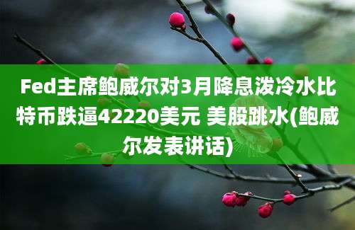 Fed主席鲍威尔对3月降息泼冷水比特币跌逼42220美元 美股跳水(鲍威尔发表讲话)