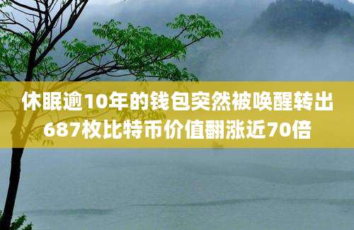 休眠逾10年的钱包突然被唤醒转出687枚比特币价值翻涨近70倍