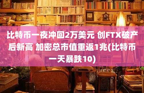 比特币一夜冲回2万美元 创FTX破产后新高 加密总市值重返1兆(比特币一天暴跌10)