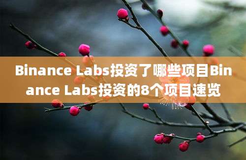 Binance Labs投资了哪些项目Binance Labs投资的8个项目速览