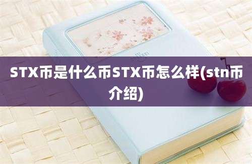 STX币是什么币STX币怎么样(stn币介绍)