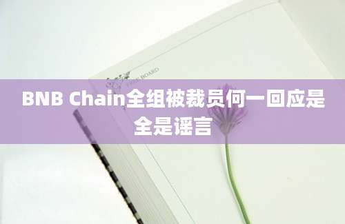 BNB Chain全组被裁员何一回应是全是谣言