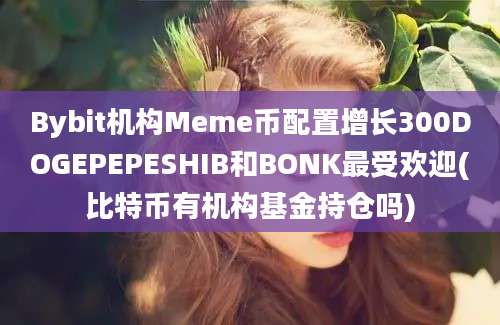 Bybit机构Meme币配置增长300DOGEPEPESHIB和BONK最受欢迎(比特币有机构基金持仓吗)