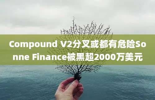 Compound V2分叉或都有危险Sonne Finance被黑超2000万美元