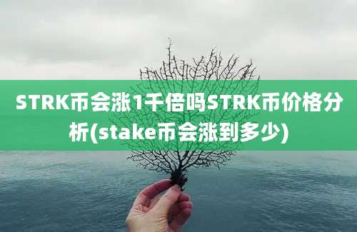 STRK币会涨1千倍吗STRK币价格分析(stake币会涨到多少)