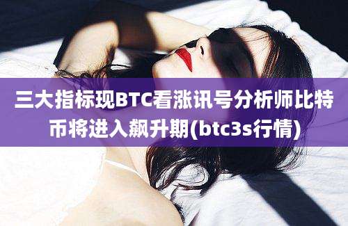 三大指标现BTC看涨讯号分析师比特币将进入飙升期(btc3s行情)