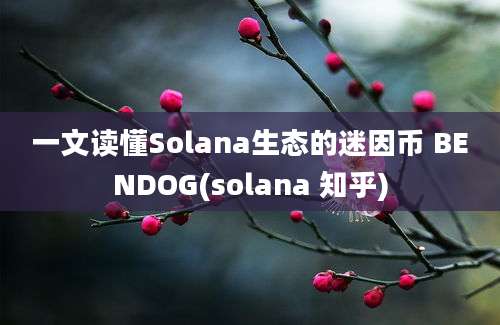 一文读懂Solana生态的迷因币 BENDOG(solana 知乎)