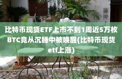 比特币现货ETF上市不到1周近5万枚BTC竟从沉睡中被唤醒(比特币现货etf上涨)