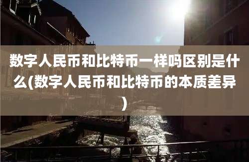 数字人民币和比特币一样吗区别是什么(数字人民币和比特币的本质差异)