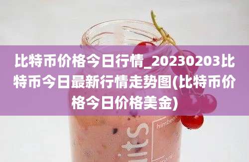 比特币价格今日行情_20230203比特币今日最新行情走势图(比特币价格今日价格美金)